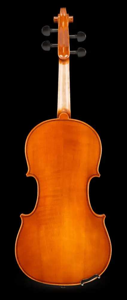 VL-100-fond