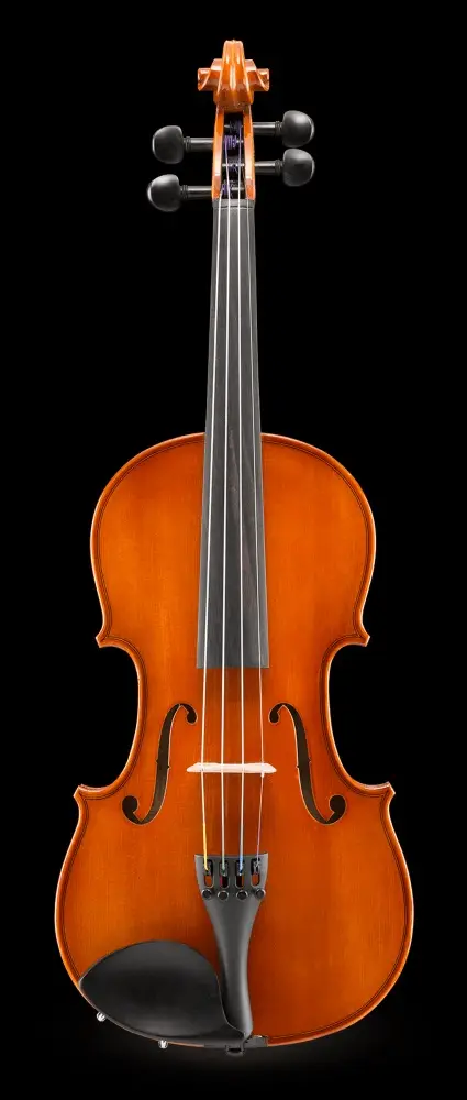 VL-80-dessus
