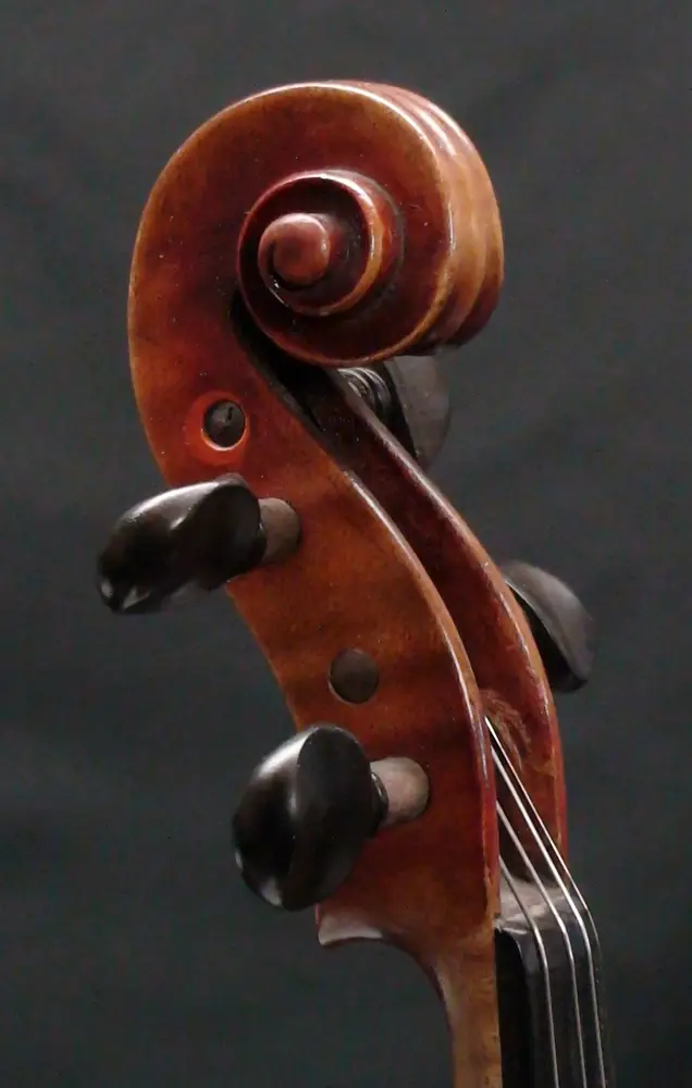 a-curatoli-violon-volute_1000