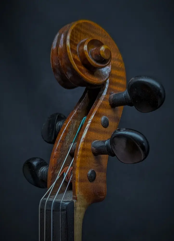 barrel-violon-volute_1000