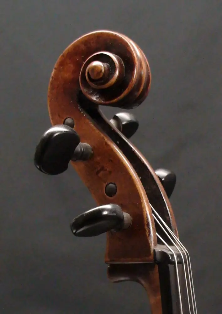 e-martin-alto-volute_1000