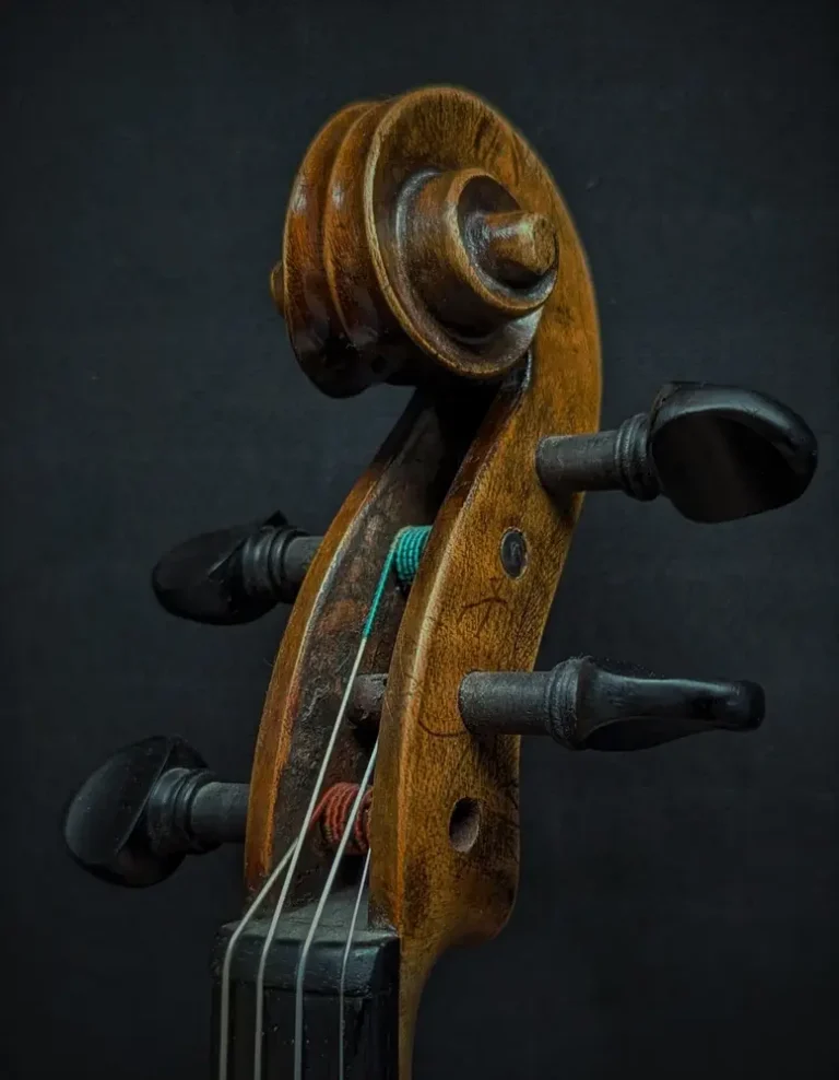 f-j-wilfer-violon-volute_1000
