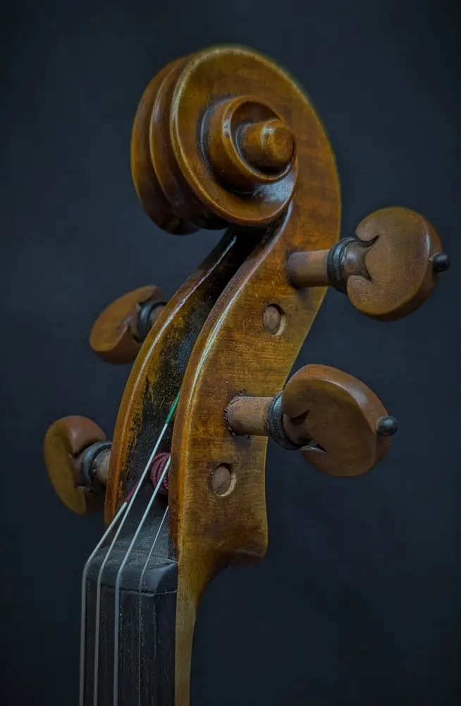 hopf-1-violon-volute_1000