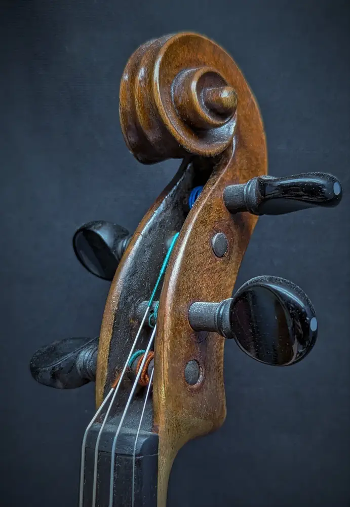 hopf-2-violon-volute_1000