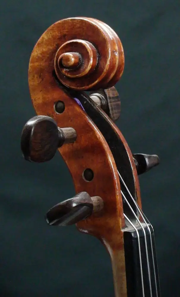 m-landry-violon-1-volute_1000
