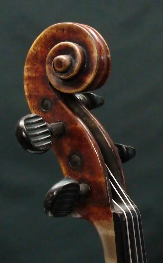 obrecht-violon-volute_1000