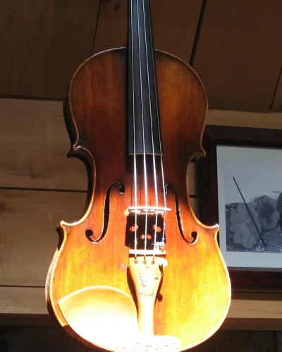 violon-ensoleille